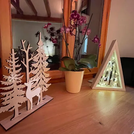Exclusive Lejlighed Trieste